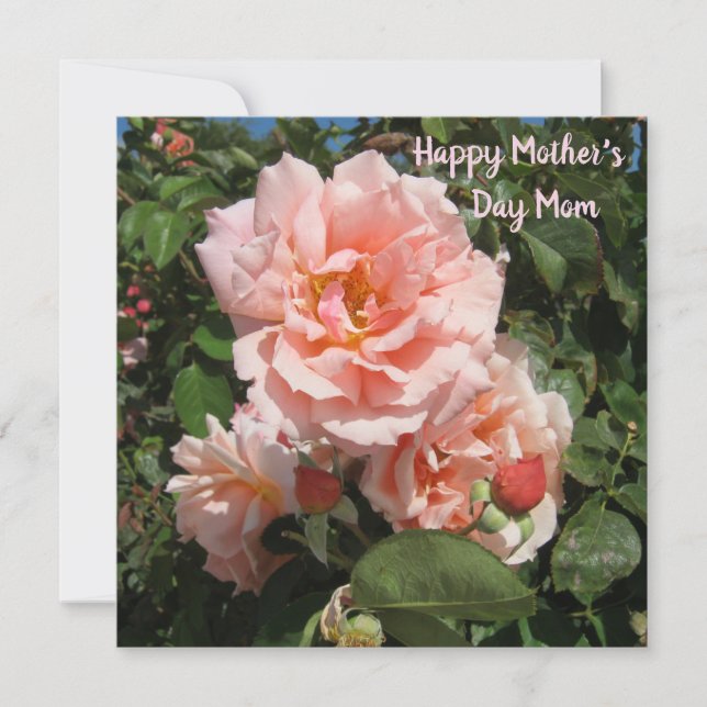 Cartes Pour Fêtes Annuelles Roses roses pour maman (Devant)