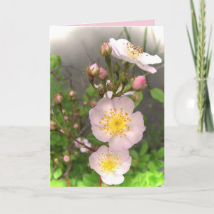 Cartes Pour Fêtes Annuelles Roses sauvages Valentine