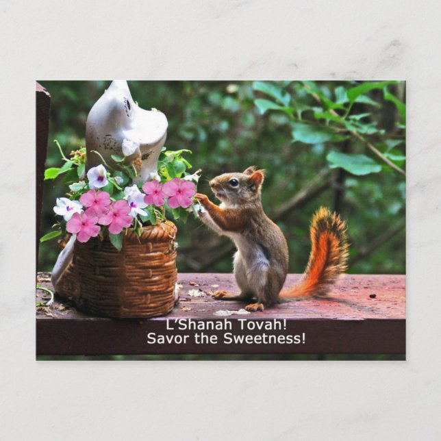 Cartes Pour Fêtes Annuelles Rosh Hashanah carde des cadeaux (Devant)