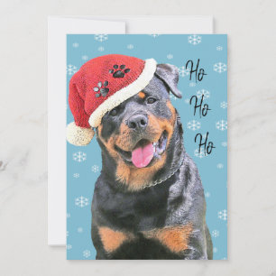 Cartes Pour Fêtes Annuelles Rottweiler