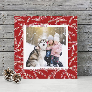 Cartes Pour Fêtes Annuelles Rouge   Pine Branch Christmas Photo Carré