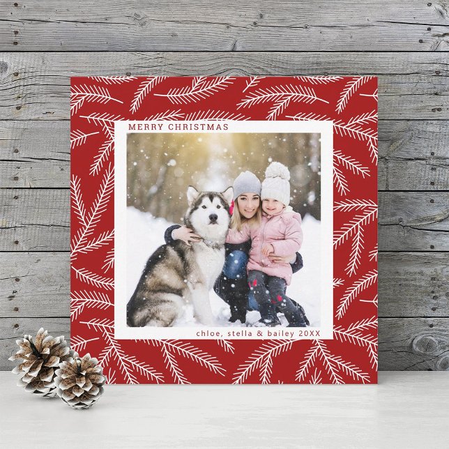 Cartes Pour Fêtes Annuelles Rouge | Pine Branch Christmas Photo Carré (Créateur téléchargé)