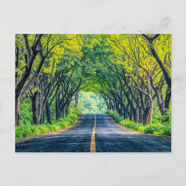 Cartes Pour Fêtes Annuelles Route à travers une allée d'arbres dense (Devant)