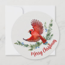Rustique Aquarelle Oiseau Rouge Cardinal Noël