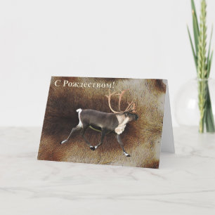 Cartes Pour Fêtes Annuelles S Rozhdestvom - Bull Caribou (Reindeer)