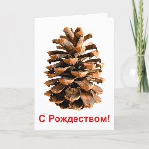 Cartes Pour Fêtes Annuelles S Rozhdestvom - Cône de pin de Jérusalem