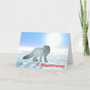 Cartes Pour Fêtes Annuelles S Rozhdestvom - Fox arctique