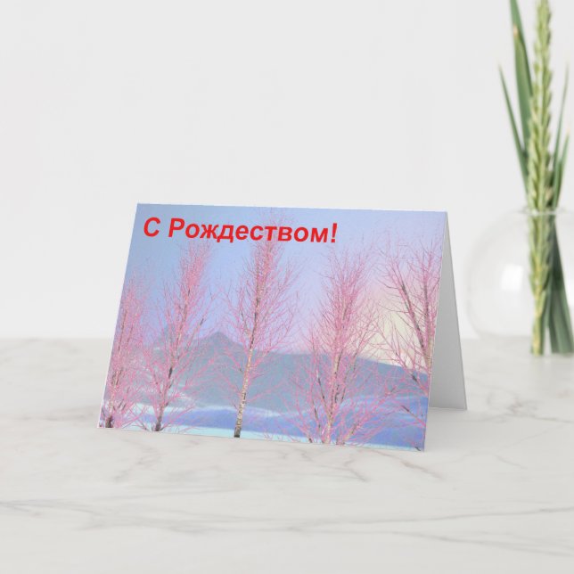 Cartes Pour Fêtes Annuelles S Rozhdestvom - Raspberry Creme Birch (Devant)