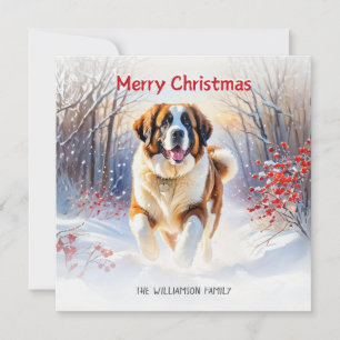 Cartes Pour Fêtes Annuelles Saint Bernard Chien En Neige Joyeux Noël