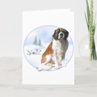 Saint Bernard Noel