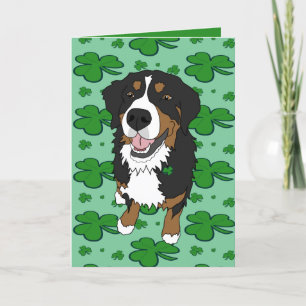 Cartes Pour Fêtes Annuelles Saint Patrick’s Day Bernese Mountain Dog