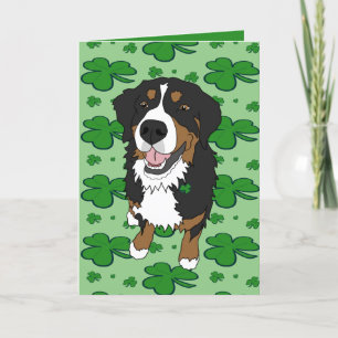 Cartes Pour Fêtes Annuelles Saint Patrick’s Day Bernese Mountain Dog