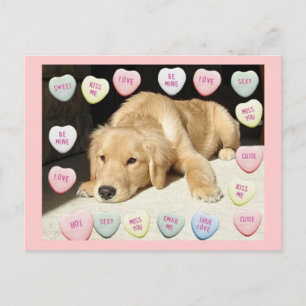 Cartes Pour Fêtes Annuelles Saint Valentin