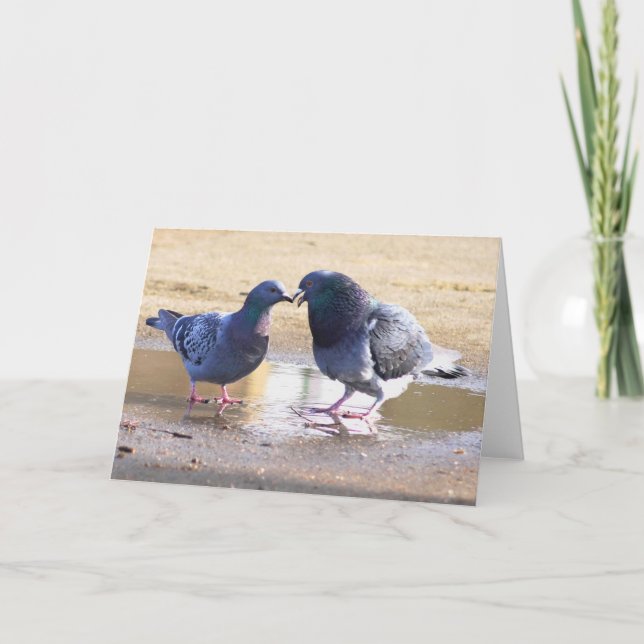 Cartes Pour Fêtes Annuelles Saint Valentin (Devant)