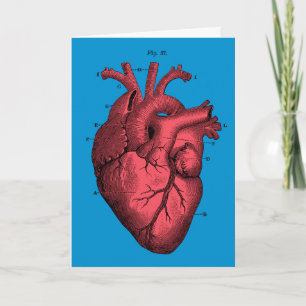 Cartes Pour Fêtes Annuelles Saint-Valentin anatomique vintage de coeur