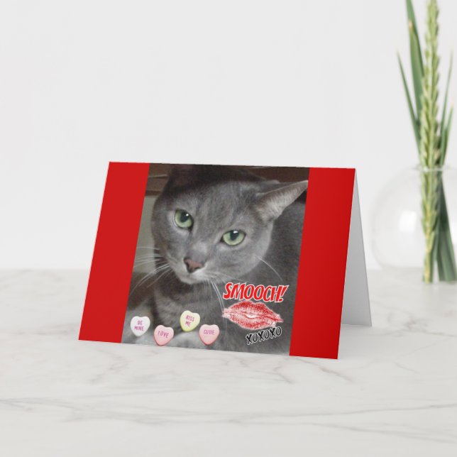Cartes Pour Fêtes Annuelles Saint Valentin Chat bleu russe gris (Devant)