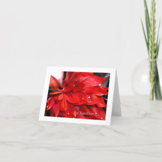 Cartes Pour Fêtes Annuelles Saint-Valentin Coeur de plumes rouges