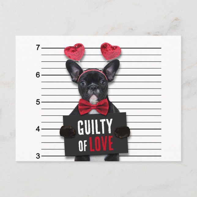 Cartes Pour Fêtes Annuelles Saint Valentin Culpabilité Aimer Chien Drôle Mugsh (Devant)