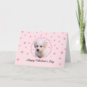 Cartes Pour Fêtes Annuelles Saint-Valentin de Bichon