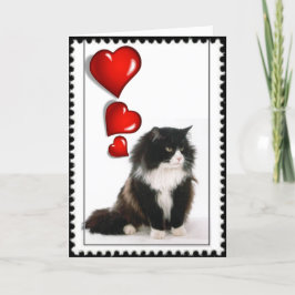 Cartes Pour Fêtes Annuelles Saint-Valentin de chat noir et blanc