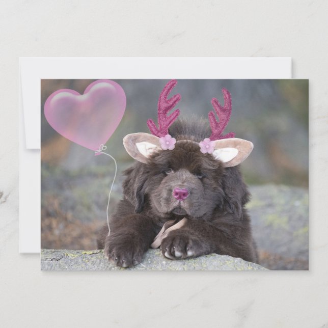 Cartes Pour Fêtes Annuelles Saint-Valentin de chiot cerf (Devant)