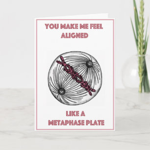 Cartes Pour Fêtes Annuelles Saint-Valentin de mitotique