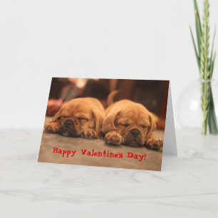 Cartes Pour Fêtes Annuelles Saint-Valentin de Puggle