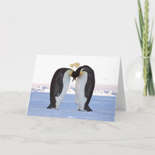 Cartes Pour Fêtes Annuelles Saint Valentin, Deux pingouins amoureux, Coeurs