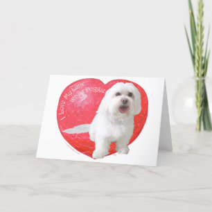 Cartes Pour Fêtes Annuelles Saint Valentin Havanais
