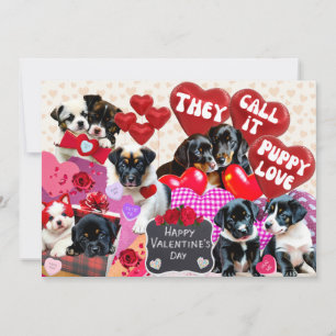 Cartes Pour Fêtes Annuelles Saint Valentin, ils appellent ça l'amour chiot
