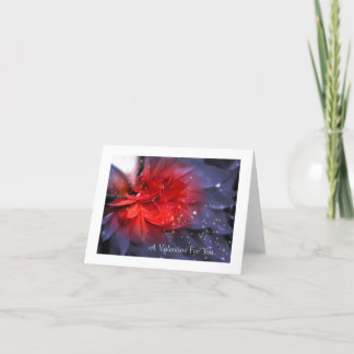 Cartes Pour Fêtes Annuelles Saint-Valentin : Plumes violettes avec rouge