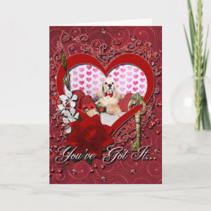 Cartes Pour Fêtes Annuelles Saint-Valentin - Tobey - cocker