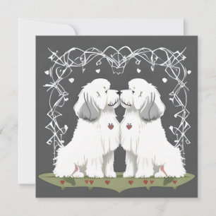 Cartes Pour Fêtes Annuelles Saint Valentin Vieux Anglais Berger Aimer