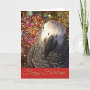 Cartes Pour Fêtes Annuelles Saison de vacances pour les perroquets gris d'Afri