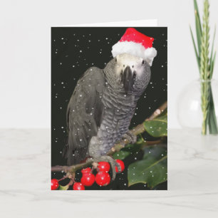 Cartes Pour Fêtes Annuelles Saison des vacances de perroquet de gris africain