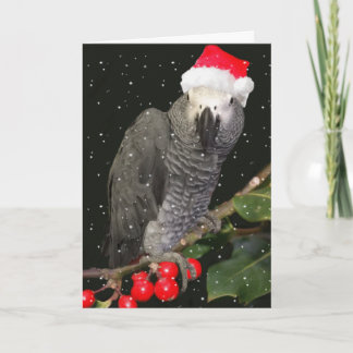 Cartes Pour Fêtes Annuelles Saison des vacances de perroquet de gris africain