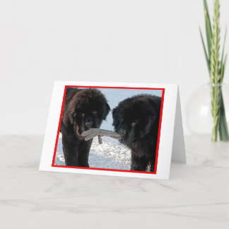 Cartes Pour Fêtes Annuelles Saison meilleure….Blanc