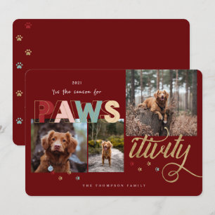 Cartes Pour Fêtes Annuelles Saison Pour Pawsitivity Fun Pet 3 Photo Collage