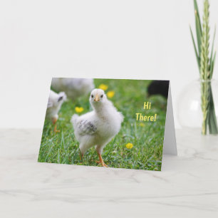 Cartes Pour Fêtes Annuelles Salut Baby Chick Happy Pâques