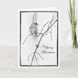 Cartes Pour Fêtes Annuelles Salutation de Noël - Bluebird en noir et blanc