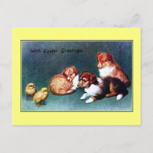 Cartes Pour Fêtes Annuelles Salutations 1906 de Pâques de cru ; chiots de