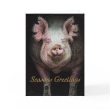 Salutations cochonnes