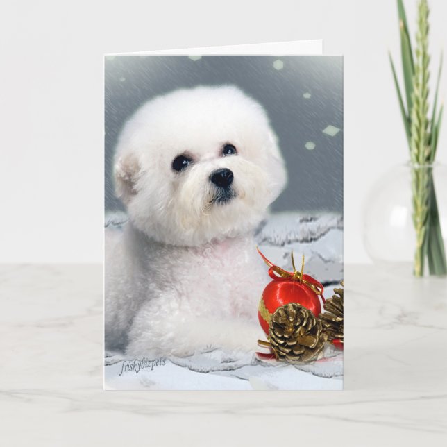 Cartes Pour Fêtes Annuelles Salutations de la saison de Bichon (Devant)