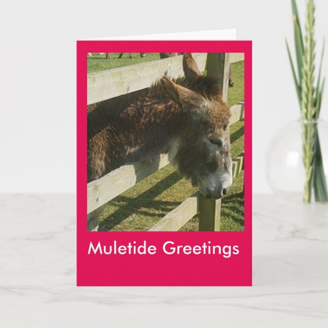 Cartes Pour Fêtes Annuelles Salutations de Muletide (Devant)