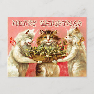 Cartes Pour Fêtes Annuelles Salutations de Noël de Chats avec Mistletoe