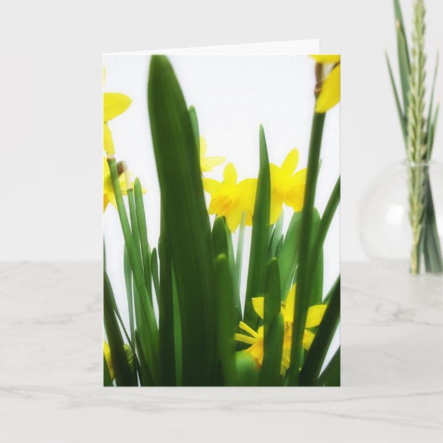 Cartes Pour Fêtes Annuelles Salutations de Pâques (Devant)