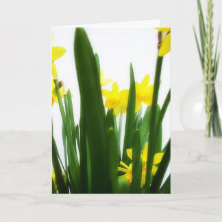 Cartes Pour Fêtes Annuelles Salutations de Pâques