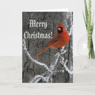 Cartes Pour Fêtes Annuelles Salutations de solstice d'hiver