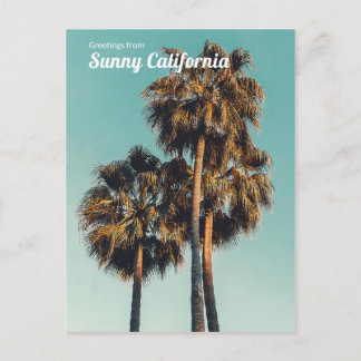 Cartes Pour Fêtes Annuelles Salutations de Sunny California