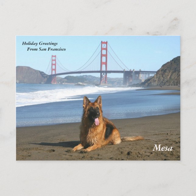 Cartes Pour Fêtes Annuelles Salutations de vacances à San Francisco (Devant)